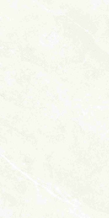 Dhara White Matte 24 x 48